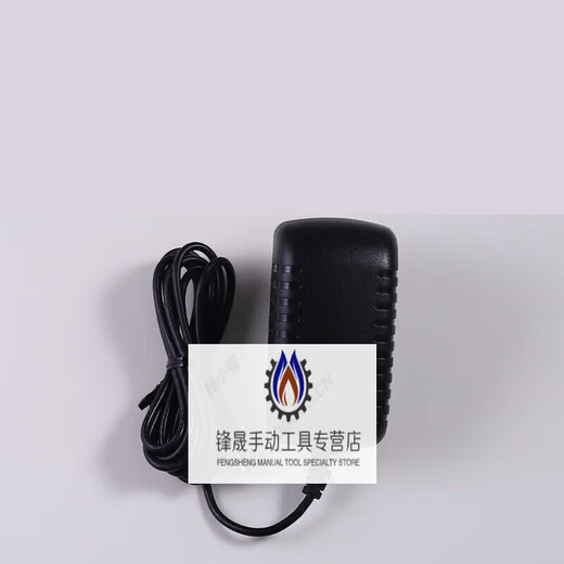 45544/9898/EV3 Lithium-Batterie-Netzteil 8887 Ladegerät 10V Universal 10V1A-700 mA Adapter 10 V Netzteil/1 Meter Draht/Schnittstelle 3.5