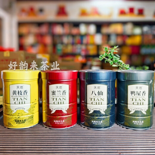 Tianchi 1392 Phoenix Dancong Qingshan Series Wudang Dancong Huangzhixiang Honey Orchid Fragrance Spring Tea 125g Honey Orchid Fragrance Qingshan Series