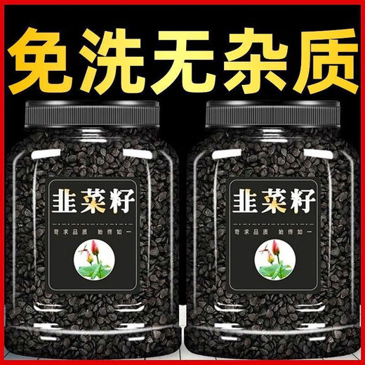 Beijing Tongrentang quality authentic fried leek seeds Chinese medicinal materials wild leek seeds powder men's wine and tea canned 1 can of cooked leek seeds 250 grams