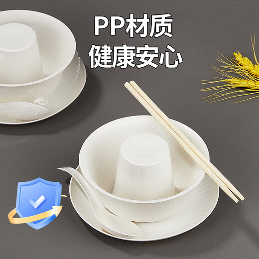 SHUANG YU disposable tableware five-piece set * 20 people large bowl chopsticks plate cup spoon outdoor camping picnic set