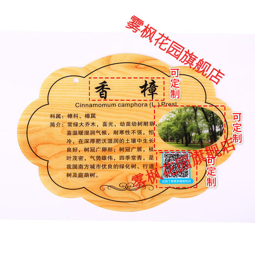 LZJV花草牌定制亚克力树牌定做植物标识牌树木介绍挂牌提示牌