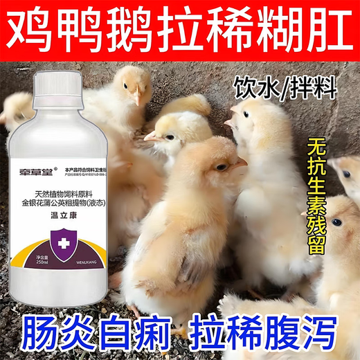Luanci chicks' open intestines, calming chicks' diarrhea, anorectitis enterotoxin, salmonella, general veterinary additive for chicks, 1 bottle of standing medicine for chicks, head down and close eyes