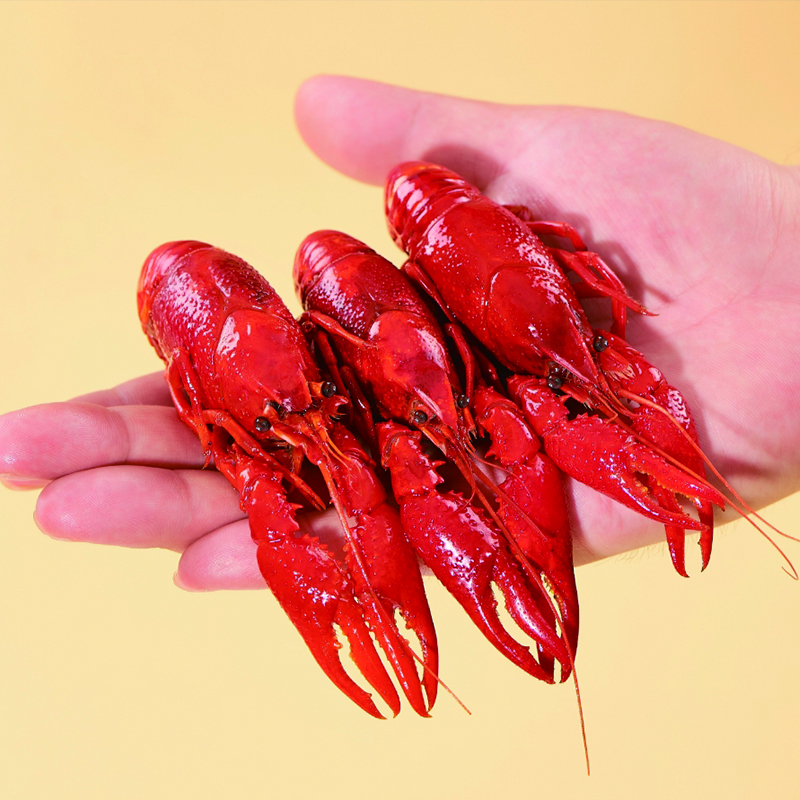 Fresh Jingcai Spicy Crayfish 618g (500g clean shrimp) Large size 6-8 yuan/piece 14-16 pieces Heat and eat