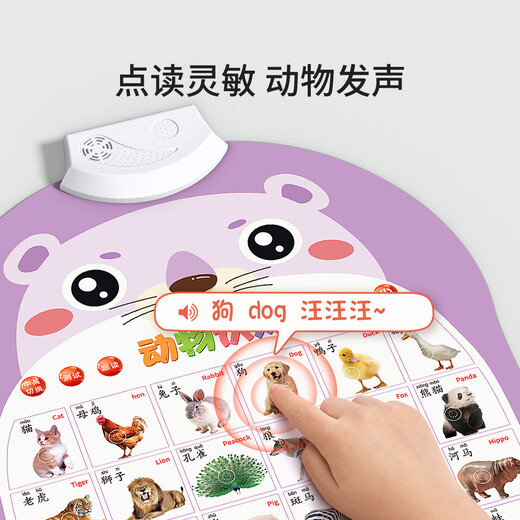 星星舟宝宝有声早教挂图启蒙婴儿点读发声识字书墙贴玩具儿童拼音 全套7张【人物+果蔬+动物+交通+认数字+拼音+