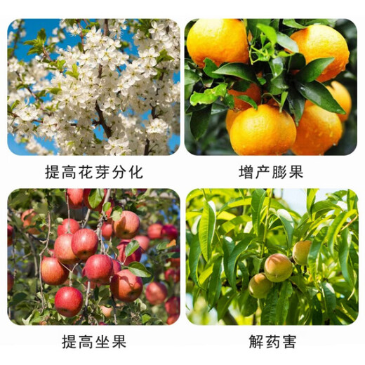 Lomon Fusheng gibberellin 920 plant growth regulator erythrase acid gibberellic acid fruit tree tea germination and flower and fruit preservation solution 400ml
