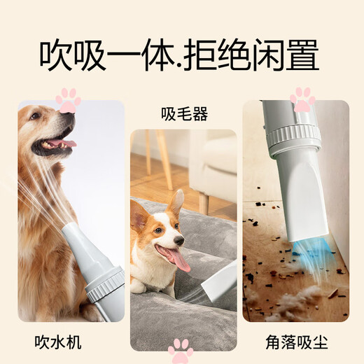 爪小宅宠物吹水机狗狗吹风机吹毛神器低噪大型犬洗澡吹干家用吹吸一体 【显示屏款】吹吸一体