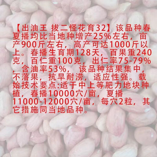 Super peanut seed original species Academy of Agricultural Sciences early-maturing shelled peanut seeds disease-resistant national Keluhua No. 8 seeds 500 grams One Jin Jin is equal to 0.5 kilograms
