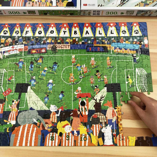 Puzzle pour enfants 100/200/300/500 Pièces Puzzle Toys pour garçons et filles âgés de 6 à 12 ans pour développer des énigmes d'intelligence. Ensemble complet de 100 pièces (6 boîtes)