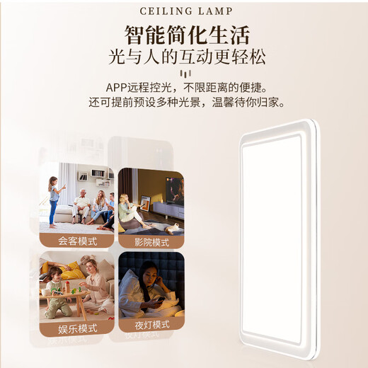 NVC LED Full Spectrum Eye Protection Ceiling Lamp Living Room Lighting Bedroom Light Smart Lighting Package Haoyu Silver