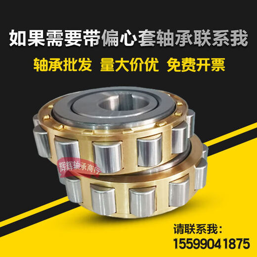 ZWZ eccentric bearing RN205RN206RN307RN309204312219222 6224