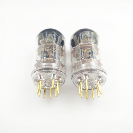 Renjuyi Russian Tissot 12ax7/ECC83/6N4/7025/12au7/ECC82/6189/E80CC Tubo electrónico Tissot 12ax7 PIE GENERAL