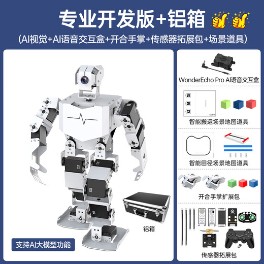 幻尔 树莓派5/4B仿生人形机器人TonyPi智能AI大模型视觉识别抓取语音交互Python编程具身智能机器人 专业开发版+铝箱 树莓派5/4G