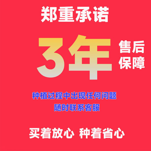 Shandong Academy of Agricultural Sciences peanut seed excellent variety Luhua No. 14 large early-maturing drought-resistant shelled original seed Agricultural Science Direct* original seed Luhua No. 14-3Jin Jin is equal to 0.5 kg