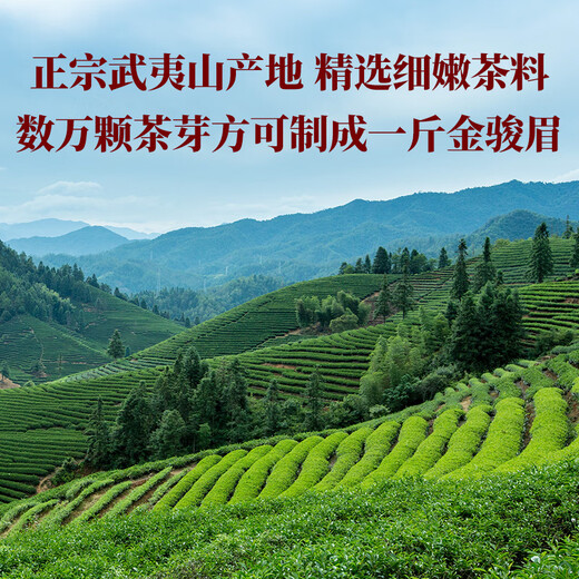 Bama Tea Industry Black Tea Good Lucky Shuang Wuyishan Special Grade Jinjunmei Double Porcelain Can Gift Box 304g Gift Gift