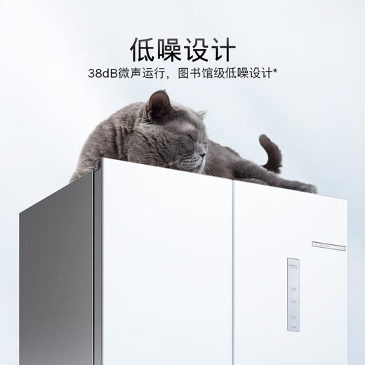Bosch (BOSCH) Global Intelligent Cleaning M8 550L cross-door refrigerator 1 1 large freezer space air-cooled, frost-free, antibacterial and odor-free, first-class energy efficiency, large capacity K5C821E23C national subsidy