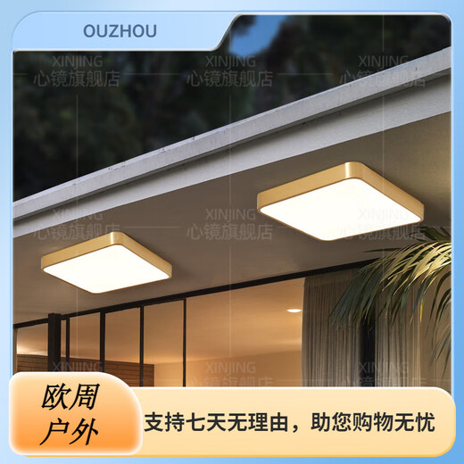 心镜全铜户外吸顶灯别墅大门口超薄门前灯室外过道阳台灯防蚊虫庭 X3893-800/方形