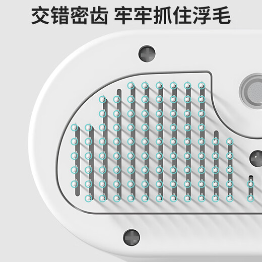 Golden pet pet spray massage comb cat comb dog steam comb cat hair comb to remove floating hair no bath comb