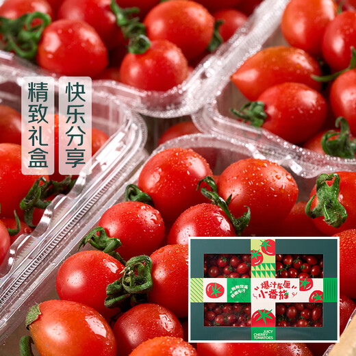 【水果菜】爆汁车厘小番茄1.25kg