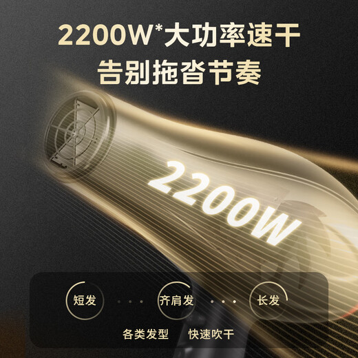 Midea 100 million negative ion hair dryer home/hair salon hair dryer 2200W high power hair care hair dryer FJ100 black national subsidy barber shop styling professional salon level