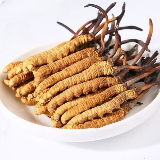 Beijing Tongrentang New Year Gift Box Authentic Cordyceps Cordyceps Cordyceps Cordyceps non-broken grass tube-installed super large root gift. Two bottles total 10 roots