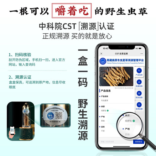 
Guokuntang [Wild traceable source] Guokuntang, Tibet Nagqu, Cordyceps sinensis dry goods Cordyceps gift 7 roots/gram 40 roots to buy and get 10 roots of the same style Gift box