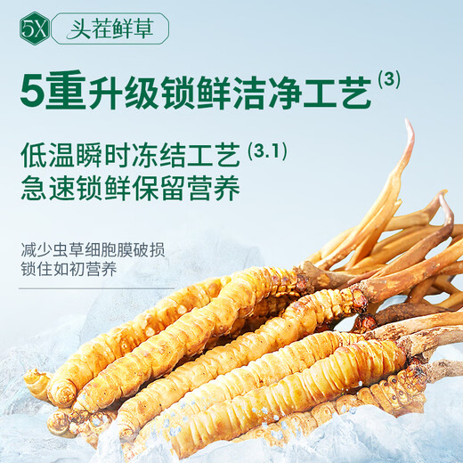 阿依舍新鲜虫草0.5-0.6g/根100根头茬鲜冬虫夏草补品【源头直发】包邮