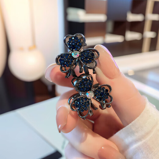 Dongyi Yanxuan Hairpin Women's 2025 high-end style side clip hair accessories light luxury bangs broken hair clip hair clip