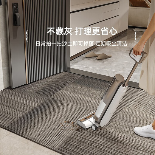 德伦卡芙（Derenkafu）品牌入户门地垫2024新款高级感进门门口脚垫防滑门外垫子玄关地毯 全季15269 80cm*160cm[升级9代耐脏法尔曼