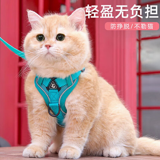 Pet cat leash, cute vest-style harness, anti-breakaway when going out, adjustable cat leash, dog harness, gray M size, recommended 6-9 Jin Jin equals 0.5 kg