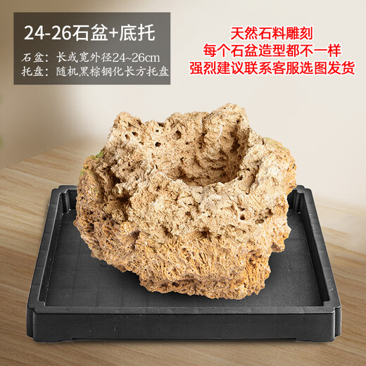 Stone flowerpot absorbent stone water stone original stone natural flowerpot with asparagus bamboo and calamus succulent plant micro landscape pot 24-26cm stone pot + tempered rectangular holder