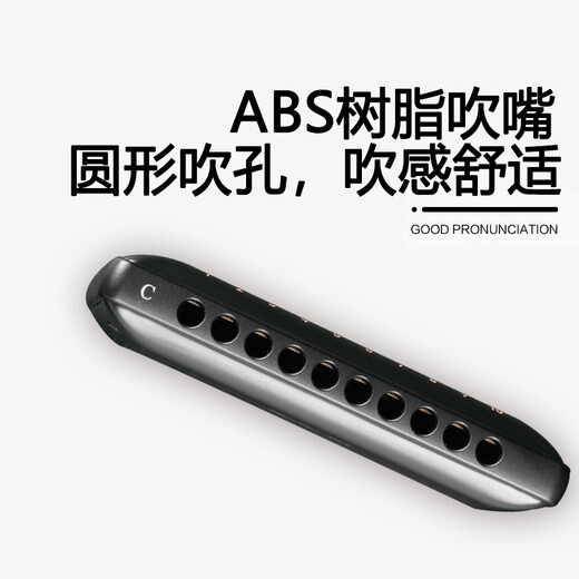Guoguang 10 Hole Country Light Blues Harmonic (Frosted Black, Resin Core, Resin Cases)
