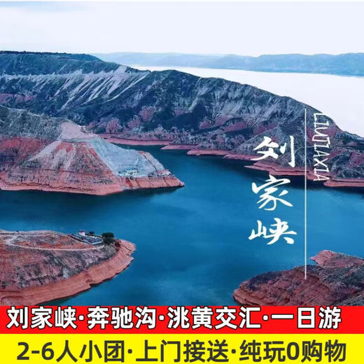 Lanzhou Liujiaxia one-day tour Huangtao Interchange + Liujiaxia Bridge + Weijiapo 2-6 people pure play small group tour/package/carpooling economical pure parking space departing on January 11
