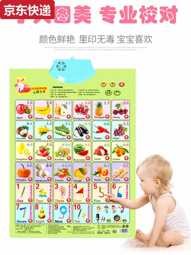 两雪有声挂图拼音儿童启蒙早教认知发声墙贴宝宝语音识字卡0-6岁玩具 桔红色