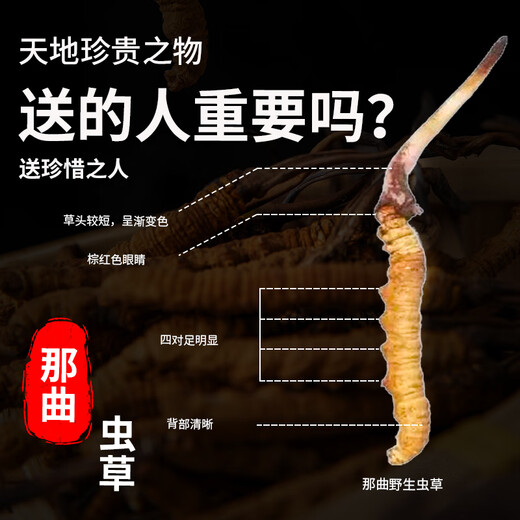 Wild Cordyceps Sinensis-Nahrungsergänzungsmittel werden den Ältesten und Eltern an die älteren Menschen gegeben, um ältere Menschen und das Drachenbootfest der Geschenkbox High-End-Geschenke zu sehen. Postoperative Pflege. Wilde erste Stoppeln sind ca. 0,8 g/Wurzel 30