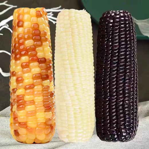 Nord-est sélectionné doux et gluant maïs jaune fleur gluante fleur gluante noire blanc gluant blanc gluant verrouillage vide frais noir noir maïs collant maïs maïs 3 bâtons (600-690g)