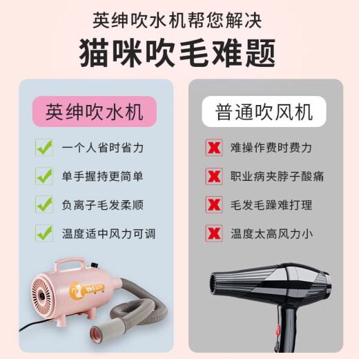 英绅猫咪专用吹水机低噪智能温控不伤毛发洗澡吹干神器宠物吹风机830C