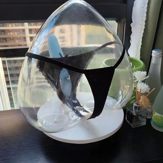 T-string men's sexy transparent see-through opening breathable JJ sleeve bag T underwear U convex temptation bullet separation black M