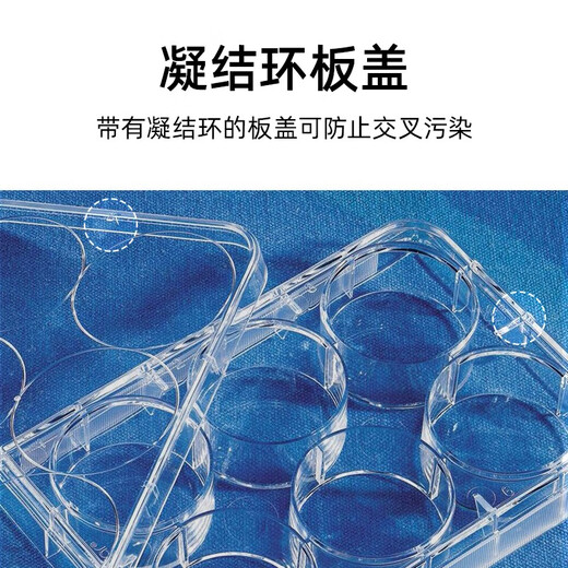 Yuncheng Corning 6 12 24 48 Plaque de culture cellulaire à 96 puits Low Adsorption TC U-Bottom Culture Plate COS 352424 Puits