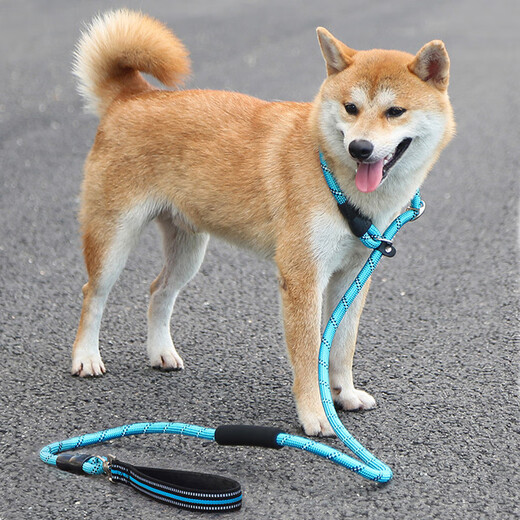Spico dog leash training dog p chain explosion-proof and anti-knot dog walking rope p rope medium and large dog all-in-one dog leash golden retriever rotating handle 1.8 meters reflective double grip P chain black M (rope thickness 10mm, recommended weight 10-40Jin Jin equals 0.5kg)