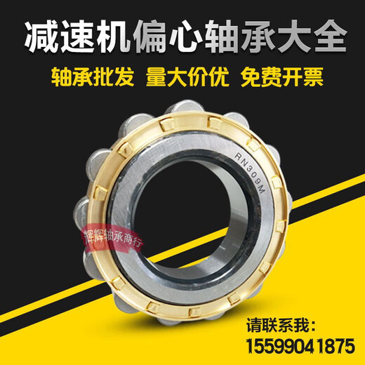 ZWZ eccentric bearing RN205RN206RN307RN309204312219222 6224