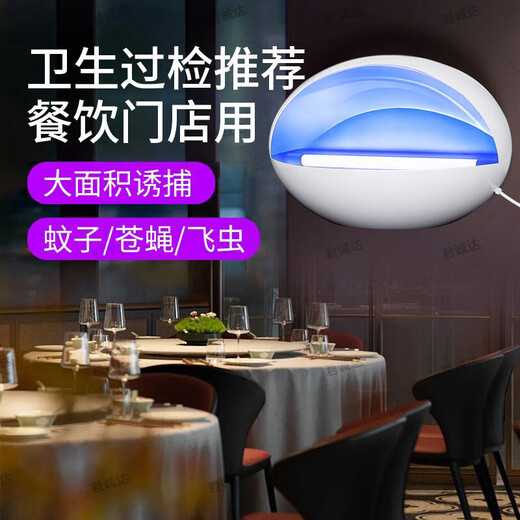 Mosquito killer lamp, mosquito repellent, mosquito killer, mosquito repellent, fly artifact, electric mosquito swatter, fly killer, mosquito killer, small LED single lamp, about 25