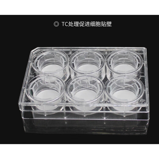 6孔12孔24孔 PC/PET膜细胞小室培养板 transwell 6孔板(PET膜24mm孔径3.0μm)14122