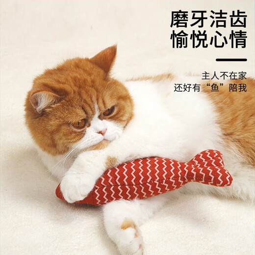 Cute star pet cat toy, cat mint, simulated fish, cat stick, self-entertainment, boredom relief, energy-consuming teeth grinding artifact, cat pet supplies