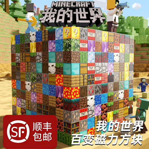 Minecraft Magnetic Square Education Kinderspielzeug 3-6-12 Jahre alter MC Magnet Bausteine ​​für Jungen und Mädchen Geburtstagsgeschenke Zufallsmodell [300 Partikel + 10 Figuren] Geschenkboxpackung