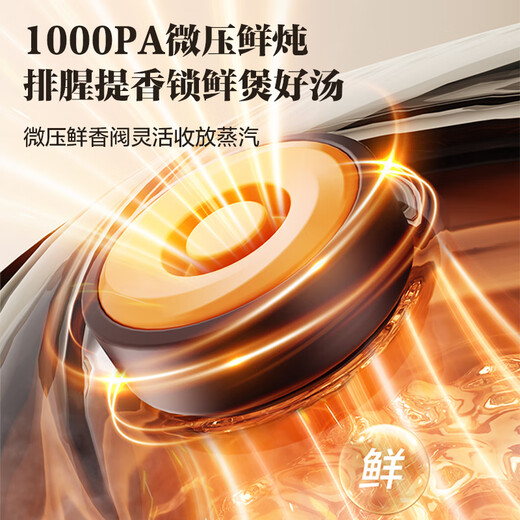 SUPOR purple sand liner electric stew pot electric casserole soup pot 3L household multi-functional soup pot micro-pressure quick stew soup pot can be reserved for 2-3 people DG30YC875