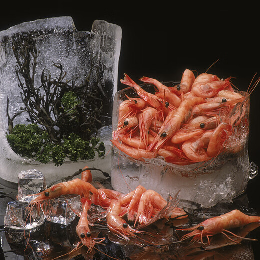 I Love Fishing Arctic Sweet Shrimp 200g