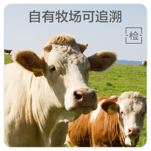 蒙特曼内蒙古原切牛里脊 净重3斤 生鲜黄牛肉柳菲力新鲜儿童辅食家庭装 