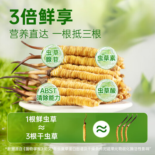 源江草新鲜冬虫夏草 2025新鲜虫草 滋补营养品 大号断草-50克