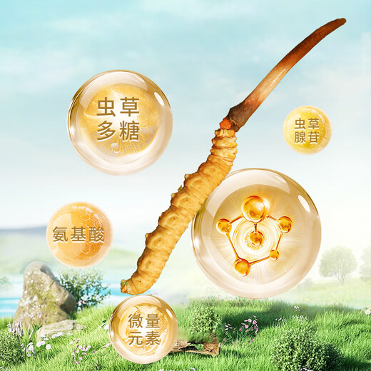 Zangqingyuan [First stubble fresh grass in 2025] Fresh Cordyceps sinensis, fresh Cordyceps in the first stage, fresh grass selection gift box, fresh grass 1.3g/root, 50 roots