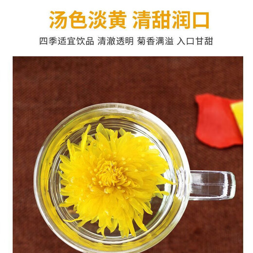 Golden Seidenkaiser Chrysanthemen sind eine Tasse Chrysanthementee. Sie können Wolfberry, Cassia -Samen, Fett Seegeißblatt, Arhat -Obst -Süßholz [eine, eine Tasse] Golden Seidenkaiser Chrysanthemen 1 Dose 20g